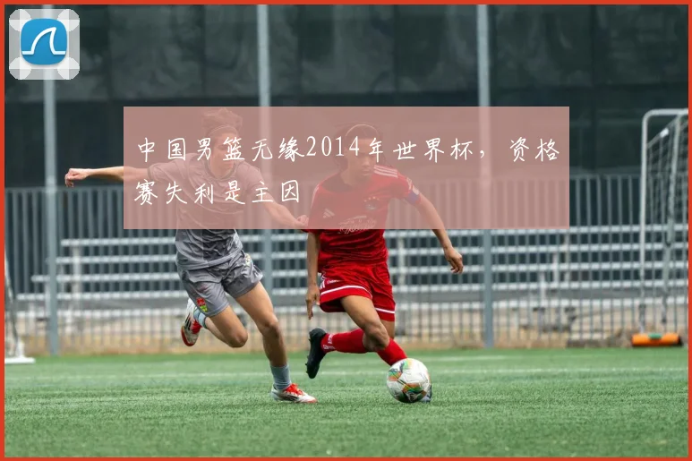 中国男篮无缘2014年世界杯,资格赛失利是主因